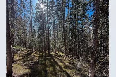 Lot 6530 Schluetter Road, Fort Garland, CO 81133 - Photo 14