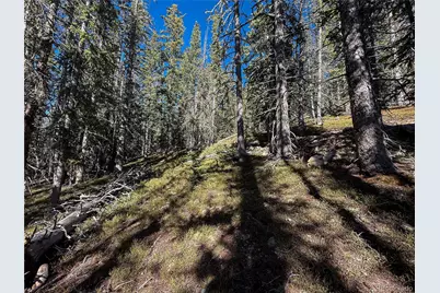Lot 6530 Schluetter Road, Fort Garland, CO 81133 - Photo 4