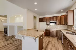 10805 Hickory Ridge St, Highlands Ranch, CO 80126 - Photo 10