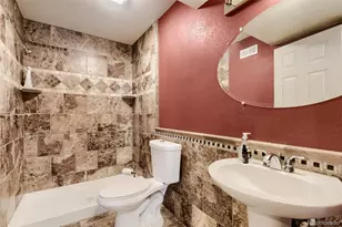 10805 Hickory Ridge St, Highlands Ranch, CO 80126 - Photo 24
