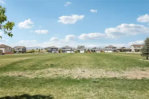 2398 Pineywoods St, Mead, CO 80542 - Photo 44