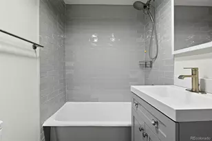 1436 N Gilpin Street, Denver, CO 80218 - Photo 16