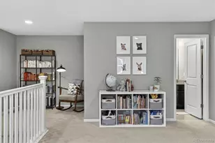11277 E 28th Pl, Denver, CO 80238 - Photo 24