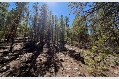 350 Mount Massive Drive, Twin Lakes, CO 81251 - Photo 8