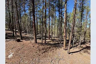 350 Mount Massive Drive, Twin Lakes, CO 81251 - Photo 14