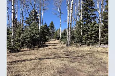2664 Grojean Drive, Fort Garland, CO 81133 - Photo 1