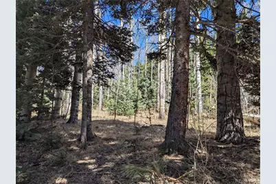 2664 Grojean Drive, Fort Garland, CO 81133 - Photo 8