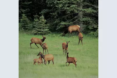 2664 Grojean Drive, Fort Garland, CO 81133 - Photo 14
