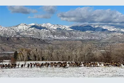 10008 Highway 65, Mesa, CO 81643 - Photo 36