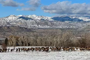 10008 Hwy 65, Mesa, CO 81643 - Photo 36