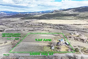 10008 Hwy 65, Mesa, CO 81643 - Photo 6