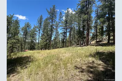 0 Pine Pine, Evergreen, CO 80439 - Photo 6