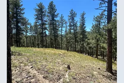 0 Pine Pine, Evergreen, CO 80439 - Photo 4