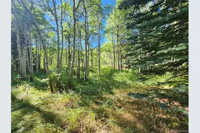531 Caribou Road, Nederland, CO 80466 - Photo 4