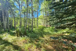 531 Caribou Rd, Nederland, CO 80466 - Photo 4