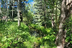 531 Caribou Rd, Nederland, CO 80466 - Photo 2