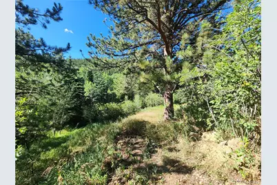 531 Caribou Road, Nederland, CO 80466 - Photo 2
