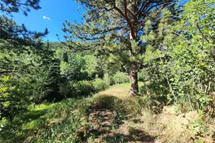 531 Caribou Rd, Nederland, CO 80466 - Photo 2