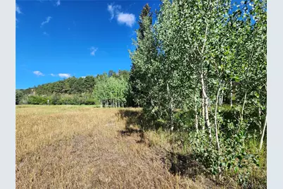 531 Caribou Road, Nederland, CO 80466 - Photo 8