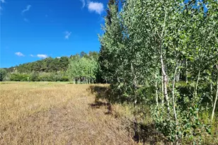 531 Caribou Rd, Nederland, CO 80466 - Photo 8