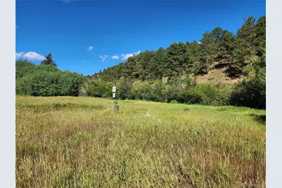 531 Caribou Road, Nederland, CO 80466 - Photo 6