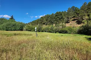 531 Caribou Rd, Nederland, CO 80466 - Photo 6