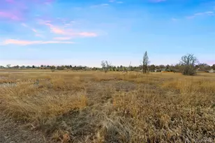 6672 W 81st Ave, Arvada, CO 80003 - Photo 48