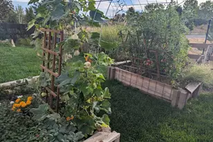 3388 Arroyo Verde Ct, Castle Rock, CO 80108 - Photo 46