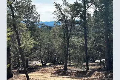 2065 Indian Wells Road, Cotopaxi, CO 81223 - Photo 12