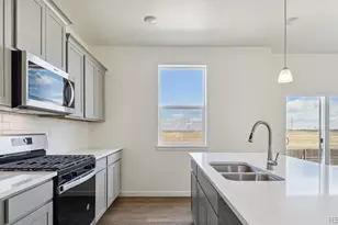 43042 Castle Stuart St, Elizabeth, CO 80107 - Photo 6