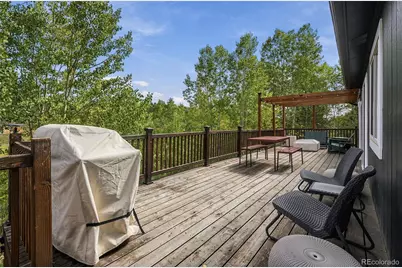 72 Stucke Road, Bailey, CO 80421 - Photo 36