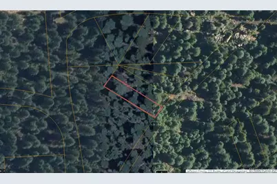 Fern Gulch Road, Evergreen, CO 80439 - Photo 1