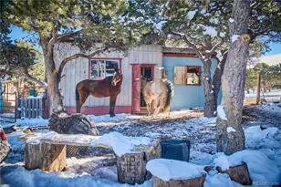 1877 Wilking Rd, Fort Garland, CO 81133 - Photo 4