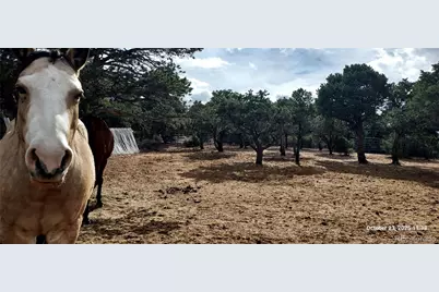 1877 Wilking Road, Fort Garland, CO 81133 - Photo 28