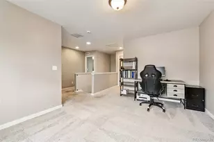 5179 Andes St, Denver, CO 80249 - Photo 14