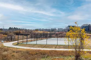 2932 Madrona Ct, Castle Rock, CO 80108 - Photo 24