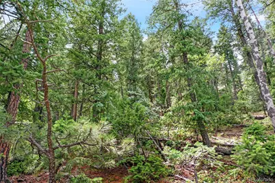 26367 Bell Park Drive, Evergreen, CO 80439 - Photo 16