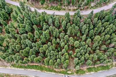 26367 Bell Park Drive, Evergreen, CO 80439 - Photo 14