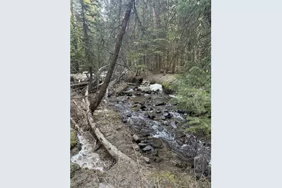 611 Silver Creek Road, Idaho Springs, CO 80452 - Photo 2