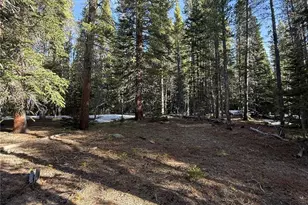 611 Silver Creek Rd, Idaho Springs, CO 80452 - Photo 1