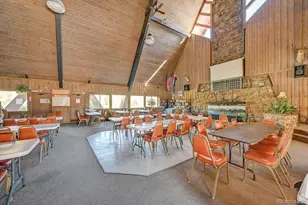 10795 Co Rd 197A, Nathrop, CO 81236 - Photo 32