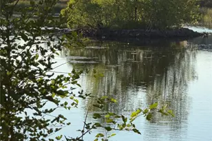 1304 Snowberry Ln, Louisville, CO 80027 - Photo 34