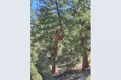 1314 Arnold Drive, Cotopaxi, CO 81223 - Photo 12