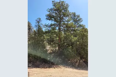 1314 Arnold Drive, Cotopaxi, CO 81223 - Photo 6