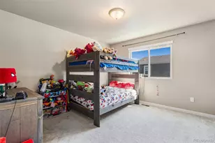 3904 Sweetgum St, Wellington, CO 80549 - Photo 20