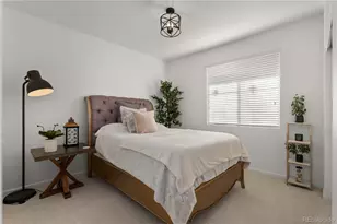 784 Ellsworth Ct, Castle Rock, CO 80104 - Photo 20