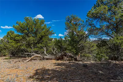 Tr-56 Macdonnell, Cotopaxi, CO 81223 - Photo 8