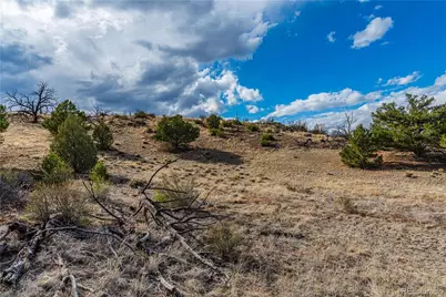 Tr-56 Macdonnell, Cotopaxi, CO 81223 - Photo 26