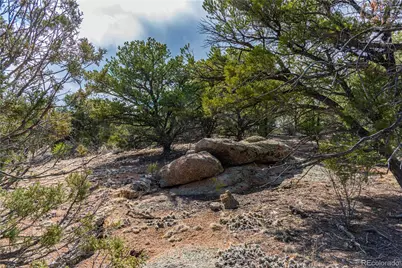 Tr-56 Macdonnell, Cotopaxi, CO 81223 - Photo 10