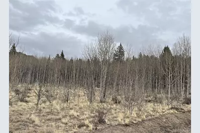 688 Ouray Trail, Como, CO 80432 - Photo 4